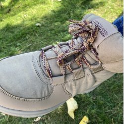 Skechers letvgtsdamestvle 144194 - tan